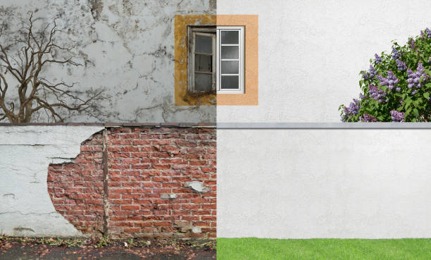 Mold Documentation for Insurance Claims in Enterprise, UT